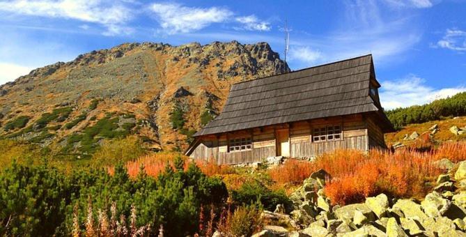 A3Apartament 2 Pokojowy Aneks Kuchenny 2 Lazienki Wlasne Na Korytarzu Villa Jumper Pobyt Na Termach Dla 2 Osob Gratis Zakopane Extérieur photo