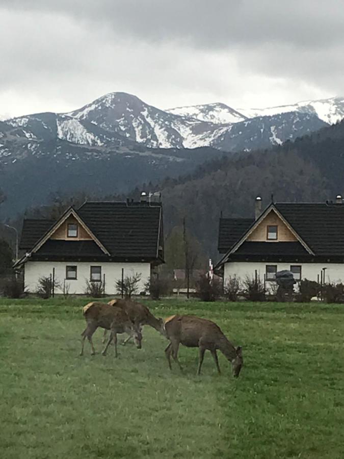 A3Apartament 2 Pokojowy Aneks Kuchenny 2 Lazienki Wlasne Na Korytarzu Villa Jumper Pobyt Na Termach Dla 2 Osob Gratis Zakopane Extérieur photo