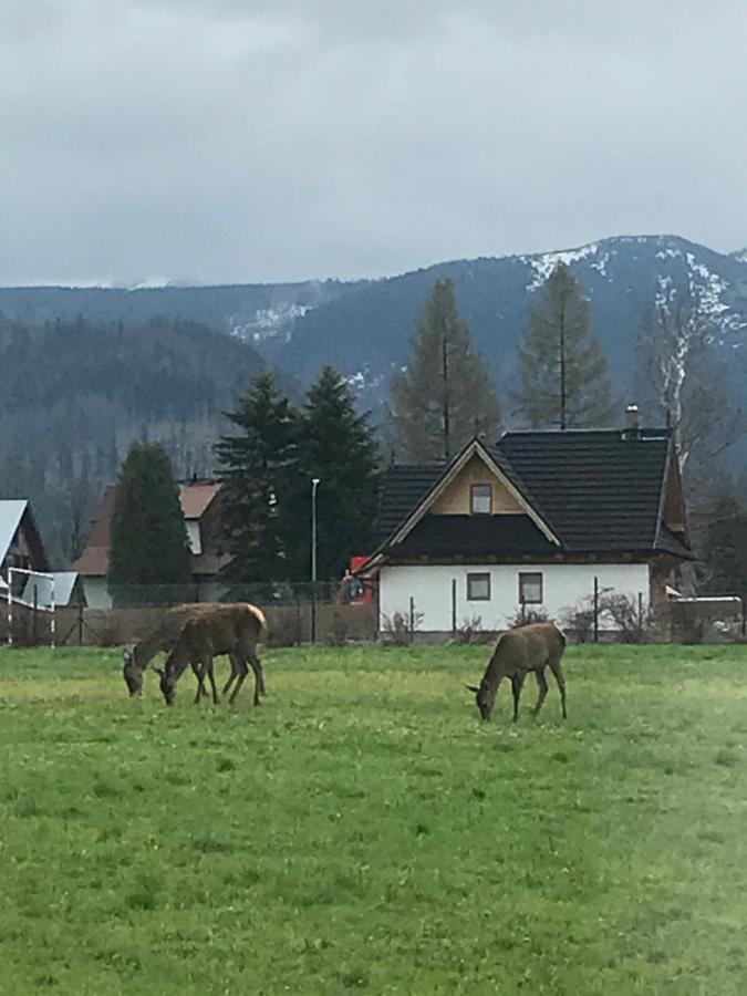 A3Apartament 2 Pokojowy Aneks Kuchenny 2 Lazienki Wlasne Na Korytarzu Villa Jumper Pobyt Na Termach Dla 2 Osob Gratis Zakopane Extérieur photo